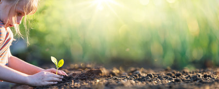 A little girl protects a green plant. Ecology conceptの写真素材