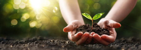 Close up of a plant in a childs hands. Ecological concept with green sunny backgroundの写真素材