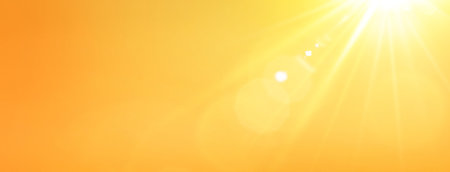 Nature sunny abstract summer background with sunの写真素材