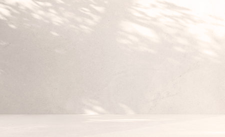 Natural background with beautiful diffused light and shadows. Beautiful texture for product presentationの写真素材