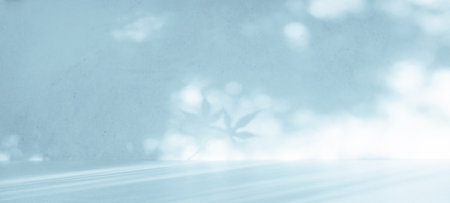 Natural background with beautiful diffused light and shadowsの写真素材