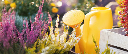 Autumn work in the gardenの写真素材