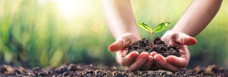Close up of a plant in a childs hands. Ecological conceptの写真素材