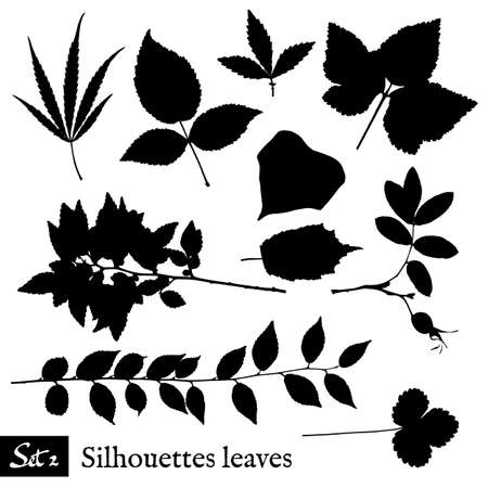 Set of Leaf Silhouettes. Isolated on white. Vector collection.のイラスト素材