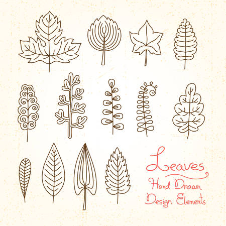 Vector set of leaves of hand drawn in cartoon styleのイラスト素材