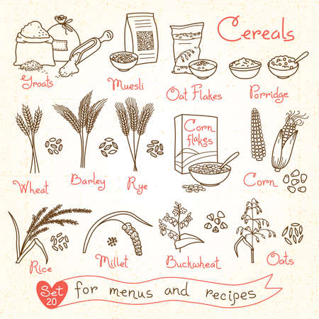 Set drawings of cereals for design menus, recipes and packing. Flakes, groats, porridge, muesli, cornflakes, oat, rye, wheat, barley, millet, buckwheat, rice, corn. Vector illustration.のイラスト素材