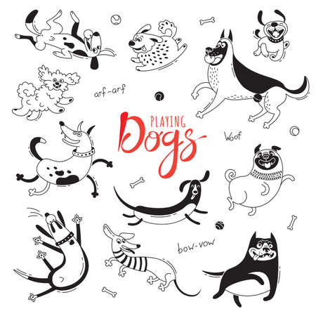 Playing dogs. Funny lap-dog, happy pug, mongrels and other breeds. Set of isolated vector drawings for design.のイラスト素材