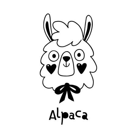 Avatar cute face alpaca portrait. Vector illustration in cartoon styleのイラスト素材