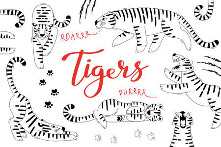 Card with cute tigers, paw prints and scratches. Tiger is the Zodiac Symbol of the 2022 New Year.のイラスト素材