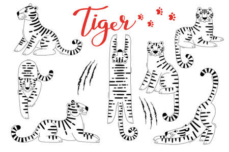Tigers Clipart Set. Tiger Zodiac Symbols New Year 2022. Vector illustration.のイラスト素材