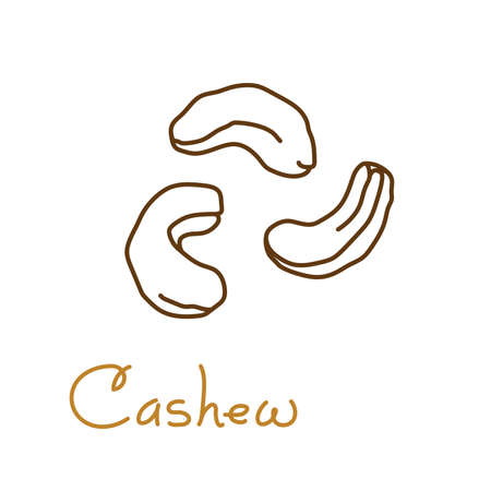 Cashew hand drawn graphics element for packaging design of nuts and seeds or snack. Vector illustration in line art style.のイラスト素材