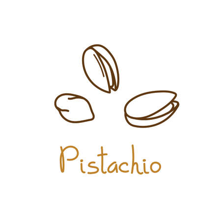 Pistachio, pistache hand drawn graphics element for packaging design of nuts and seeds or snack. Vector illustration in line art style.のイラスト素材