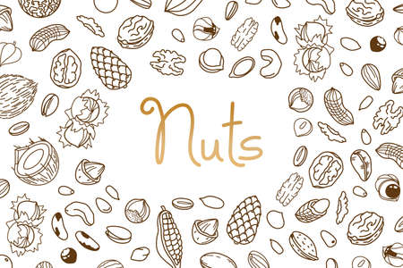 Vector frame, packaging design of nut and seed mix or snack. Walnut, peanut and sunflower seeds. Almond, pistachio, cashew, hazelnut and macadamia. Illustration in line art style.のイラスト素材
