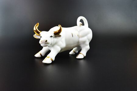White bull on black background. Bull symbol for financial markets. Isolated bullの写真素材