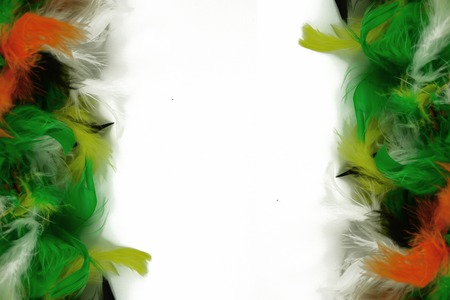 Multicolored feathers on the white background, text placeの写真素材