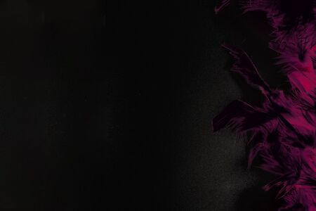 Abstract composition, illustration. Crimson feathers on the black background.の写真素材
