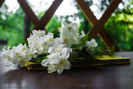 White Jasmine flowers with green leaves and yellow notebook on dark brown wooden table. Flat lay, top view, copy space for text. Floral wallpaper concept.の写真素材