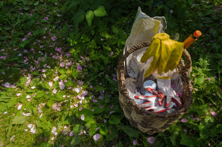 Basket with gardening tools and gloves is on the grass, which scattered pink petals. Top view on horticultural instrument in wicker pannier in summer sunny day. Space for text. Agriculture concept.の写真素材