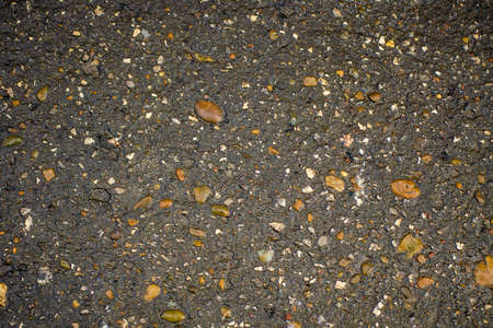Texture of dry gray asphalt with pebbles and small stones. Concept of abstract rough scabrous surface. Minimalistic background design with copy space. Eclectic flat lay in loft style, gravel top view.の写真素材