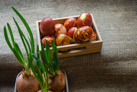 Easter eggs are coloured by ancient onion husk method with various natural patterns lying in...