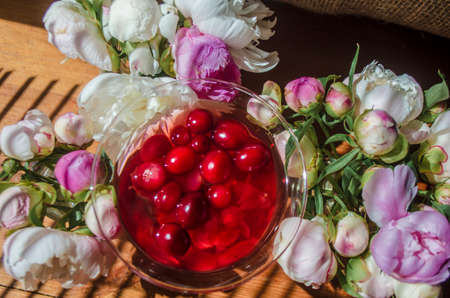 Magic solemn still life with glass of red drink with autumn organic berries surrounded by white flowers in the diagonal striped shadow of the blinds on a bright sunny day. Greeting card close-up.の写真素材