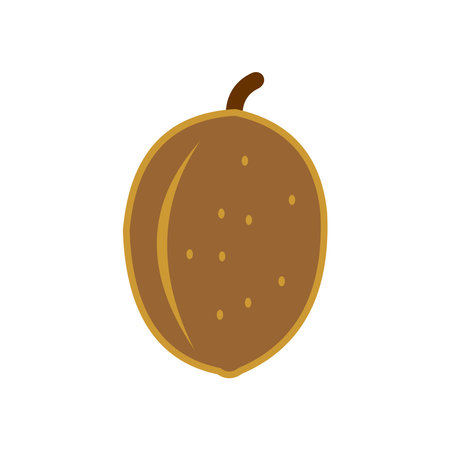 kiwi fruit icon vector sign symbolのイラスト素材