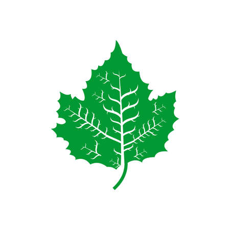 leaf icon set vector symbol isolated illustration white backgroundのイラスト素材
