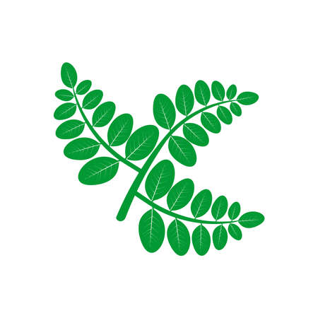 leaf icon set vector symbol isolated illustration white backgroundのイラスト素材