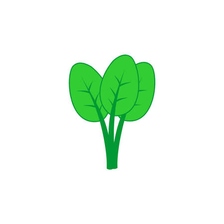 spinach icon vector isolated symbol illustration white backgroundのイラスト素材