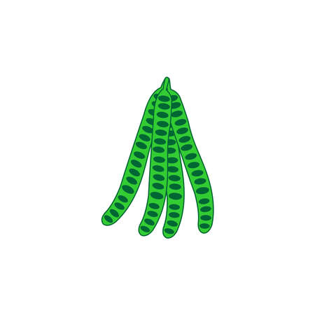 vegetable Petai icon vector symbol isolated illustration white backgroundのイラスト素材