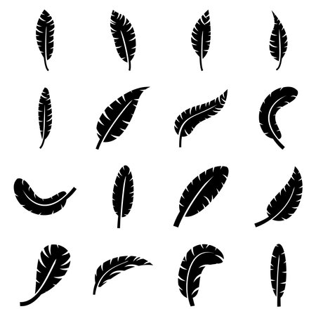 feather icon vector symbol illustrationのイラスト素材
