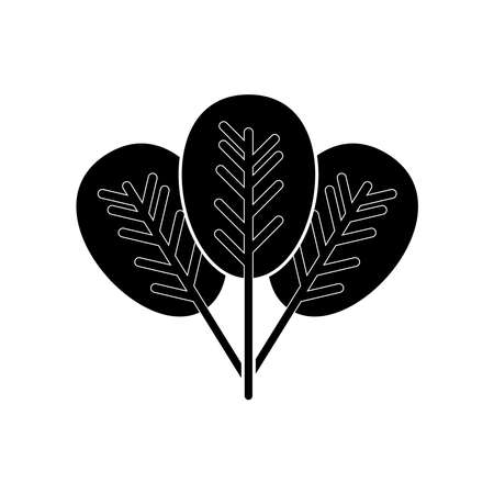 spinach icon, spinach vector sign symbolのイラスト素材