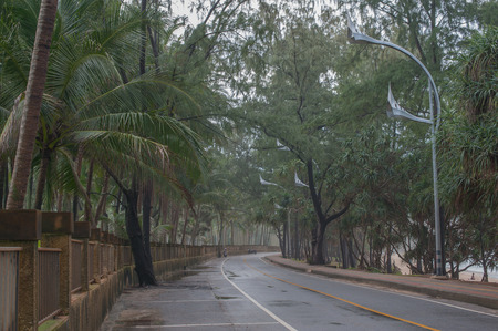 Road on a misty morning on a tropical island. The fence along the roadの写真素材