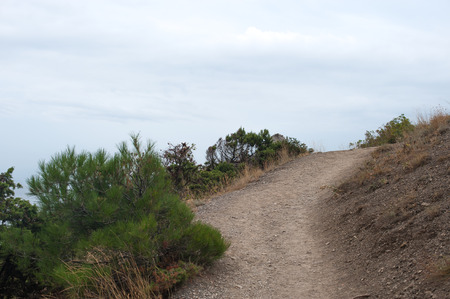 Mountain trail in cloudy weather. Horizontal photoの写真素材