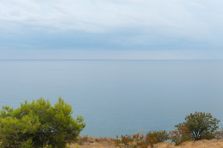 View of the pore from a high cliff. Cloudy evening weather. Clouds on the horizon. Shrubs in the foreground. Horizontal photoの写真素材