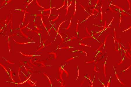Set of red hot peppers on red background. Conceptual collageの写真素材