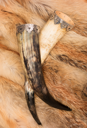Two curved horns of the Vikings in the red fur of the animal. Carved jewelry and accessories ancient peopleの写真素材