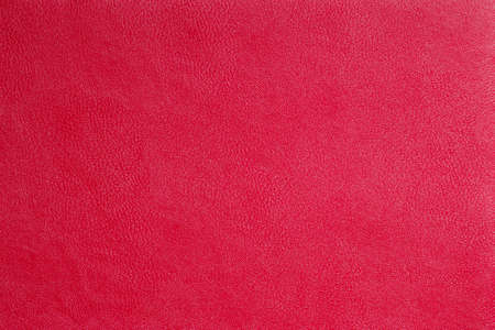 Scarlet fine texture of genuine leather. Natural expensive products.の写真素材