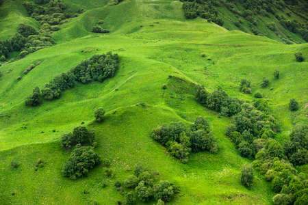 Green mountains and hills of Elbrus. Panoramic view from high spot.の写真素材