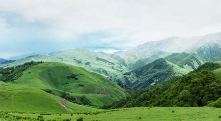 Green hills and forest with low gray clouds. Elbrus panoramic landscape.の写真素材