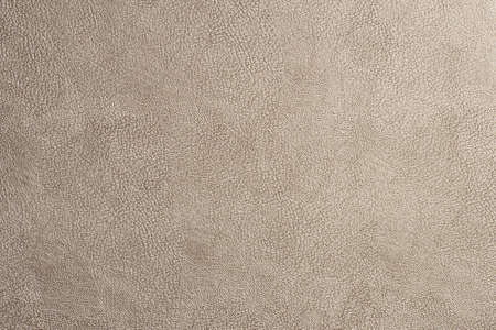 Biege fine texture of genuine leather. Natural expensive products.の写真素材