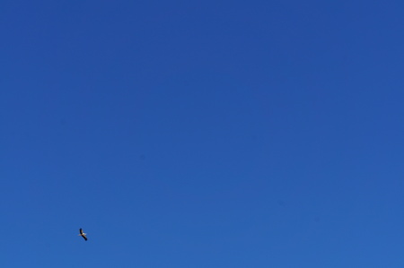 Blue sky backgroundの写真素材