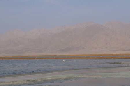 Salt lake with birds near Eilat, Israel, twilight time, low lightの写真素材