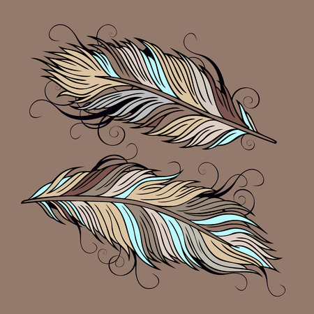 Vintage abstract decorative ethnic vector Feathers illustrationのイラスト素材