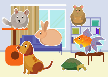 vector set of Pets. bright and modern children's illustration. Set with chinchilla, dog, fish, rabbit, and turtle in the home interiorのイラスト素材