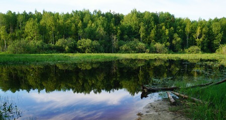 Landscape with green trees reflected in the river. Natural background without people. Summer evening in the forest.の写真素材