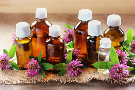 Essential oils. Clover and glass bottles on the table. Health, medicine.の写真素材