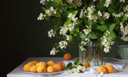 ripe apricots on a plate and a bouquet of flowering jasmineの写真素材