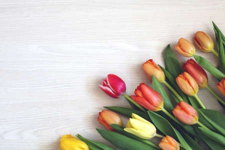 bouquet of tulips on a wooden background, top view.の写真素材