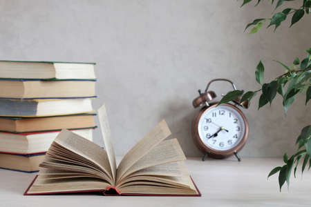 open book on the table in the interior with a houseplant